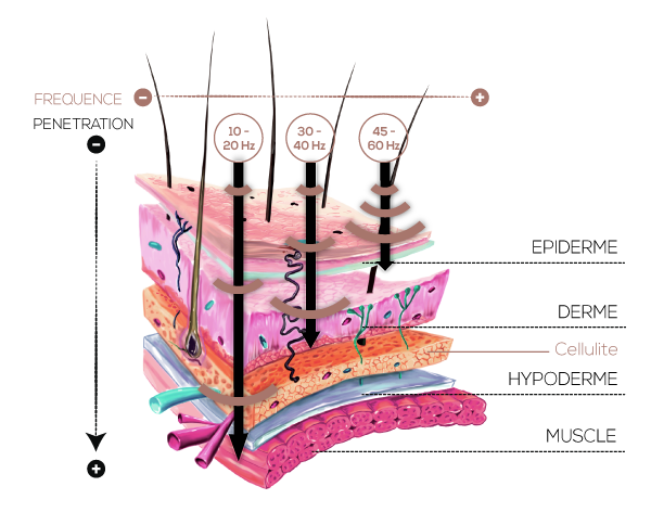 technologie cellutec