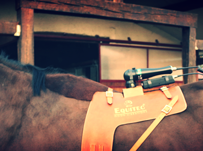 Equitec avec surfaix